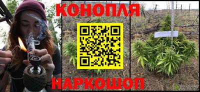 мдпв Ставрополь
