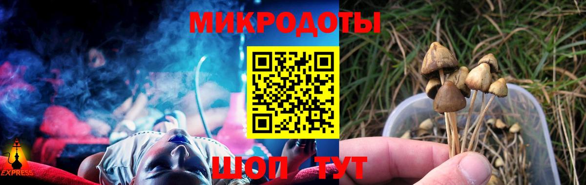 Галлюциногенные грибы MAGIC MUSHROOMS  Галлюциногенные грибы мицелий  Новокубанск  Вход с VPN 